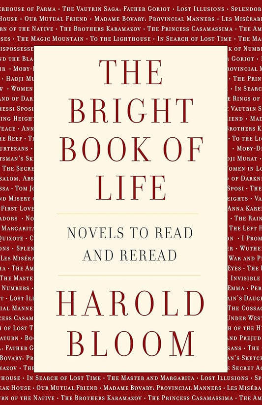 The Bright Book of Life: Novels to Read and Reread cover image