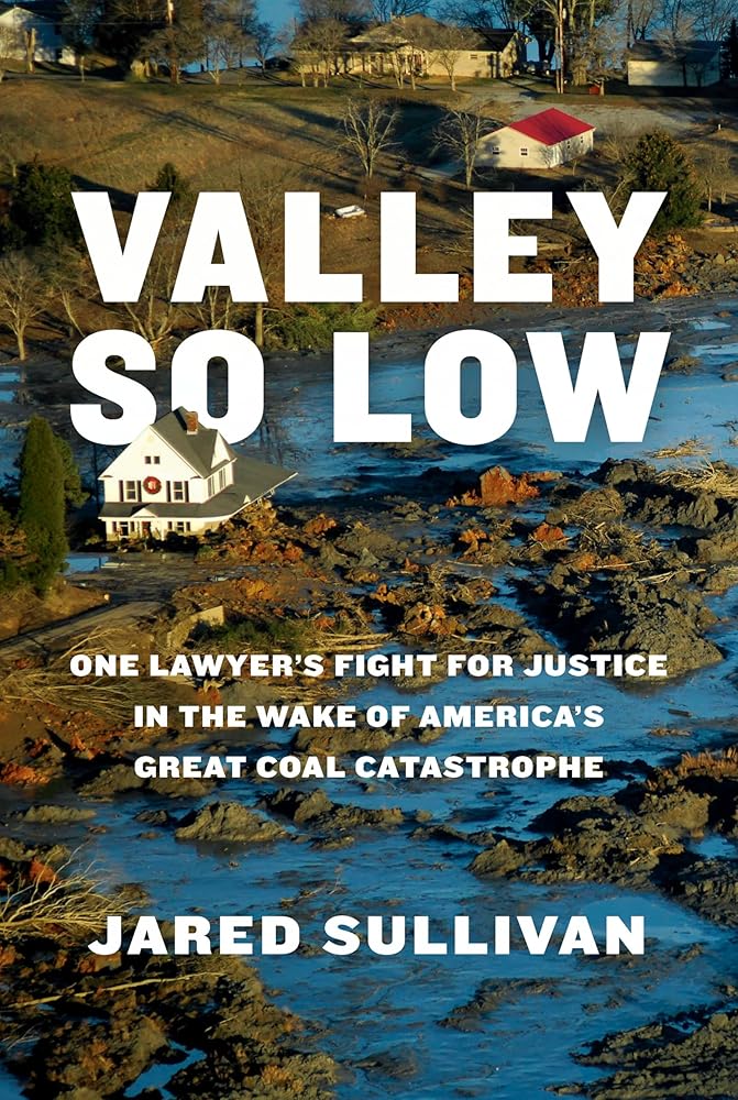 Valley So Low: One Lawyer's Fight for Justice in the Wake of America's Great Coal Catastrophe cover image