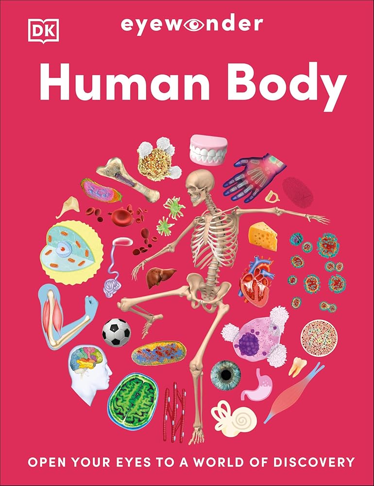 Eyewonder Human Body: Open Your Eyes to a World of Discovery cover image