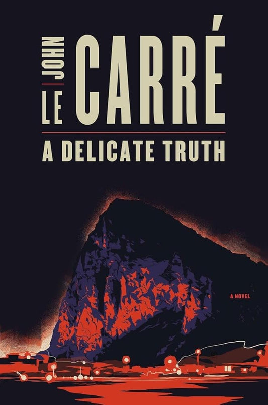 A Delicate Truth cover image