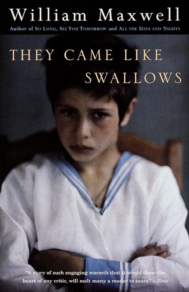 They Came Like Swallows cover image