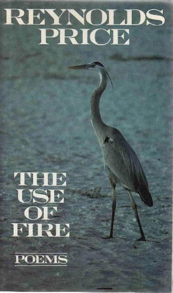 The Use of Fire cover image
