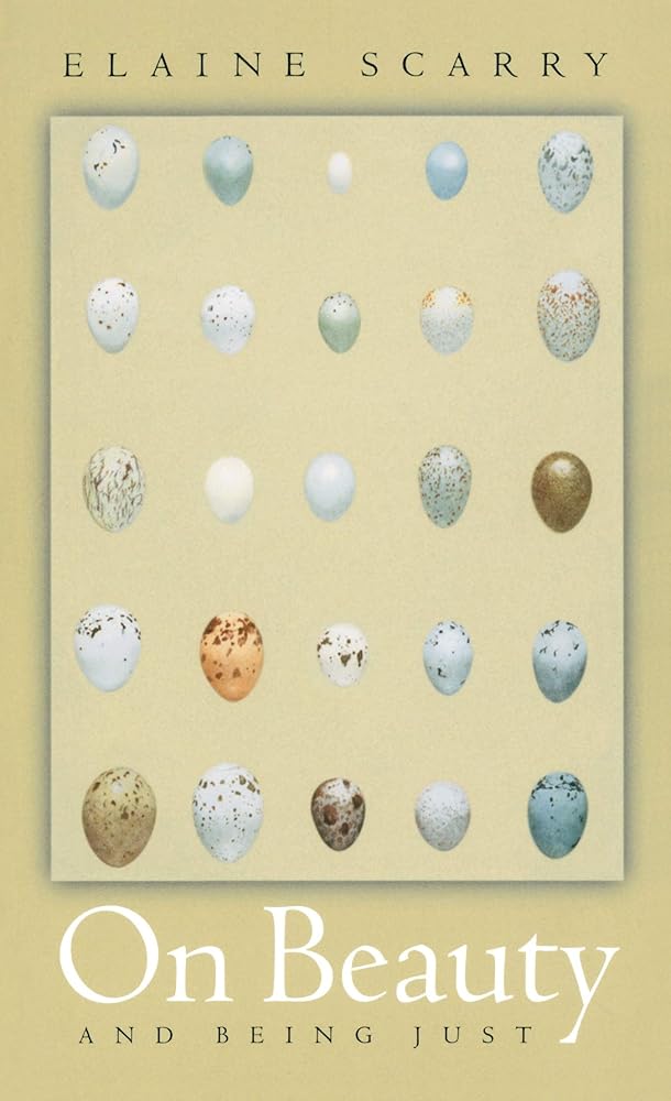 On Beauty and Being Just cover image