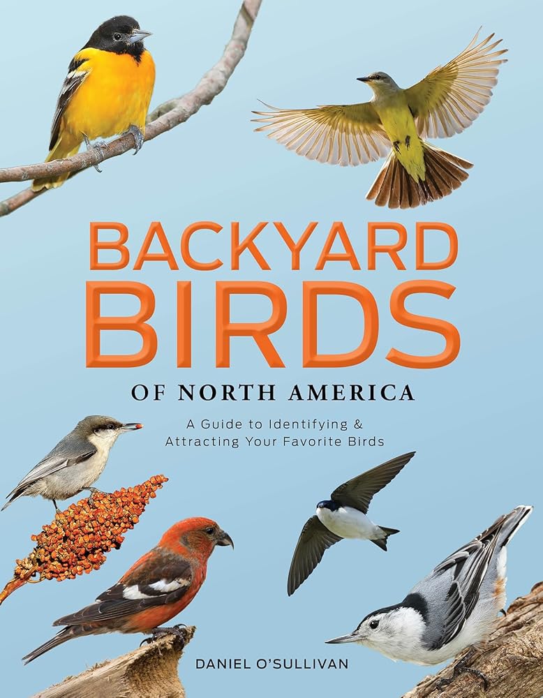 Backyard Birds of North America: A Guide to Identifying and Attracting Your Favorite Birds cover image