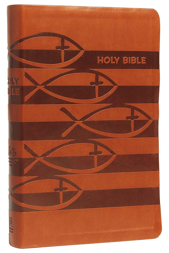 ICB, Holy Bible, Leathersoft, Brown: International Children's Bible cover image