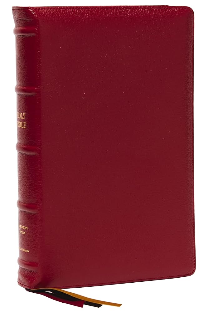 KJV Holy Bible: Large Print Single-Column with 43,000 End-of-Verse Cross References, Red Goatskin Leather, Premier Collection, Personal Size, Red Letter: King James Version cover image