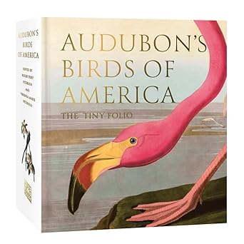 Audubon's Birds of America: The Tiny Folio cover image