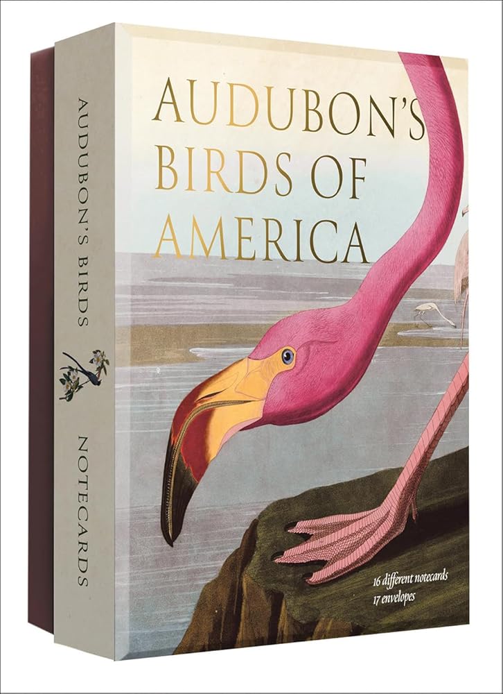 Audubon's Birds of America: An Abbeville Notecard Set cover image
