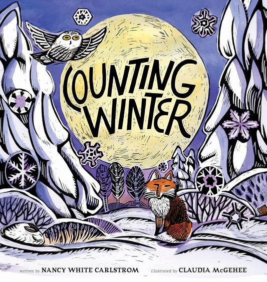 Counting Winter cover image