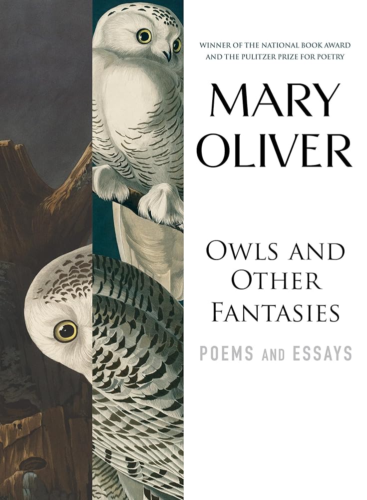 Owls and Other Fantasies: Poems and Essays cover image