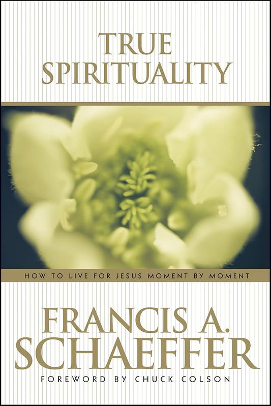 True Spirituality cover image