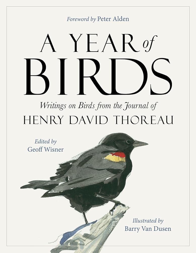 A Year of Birds: Writings on Birds from the Journal of Henry David Thoreau cover image