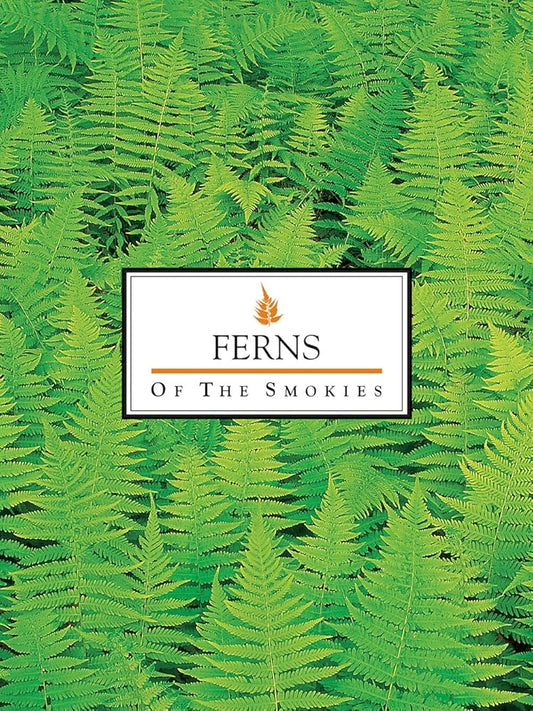 Ferns & Fern Allies of the Smokies cover image