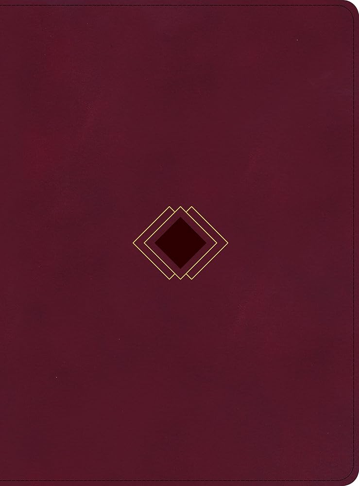 CSB Day-by-Day Chronological Bible, Burgundy LeatherTouch, Black Letter, Daily Reading Plan, One Year, Devotionals, Easy-to-Read Bible Serif Type cover image