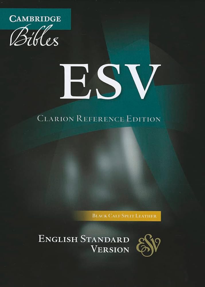 ESV Clarion Reference Bible, Black Calf Split Leather, ES484:X cover image