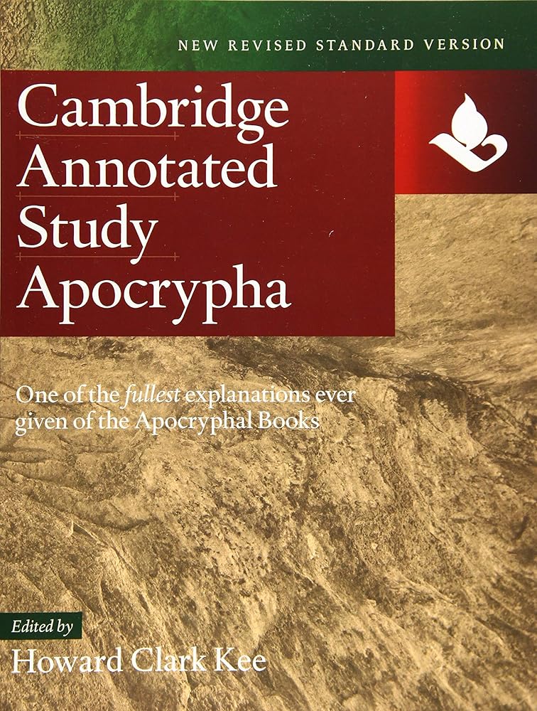 NRSV Study Apocrypha cover image