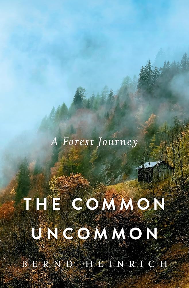 The Common Uncommon: A Forest Journey cover image