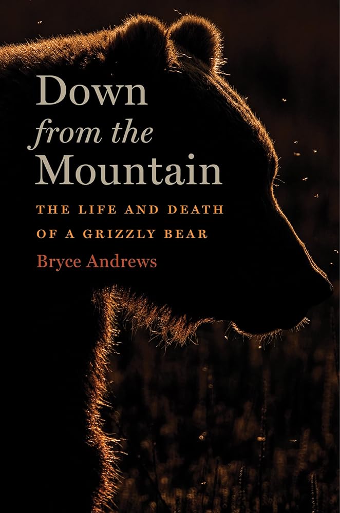 Down From The Mountain: The Life and Death of a Grizzly Bear cover image