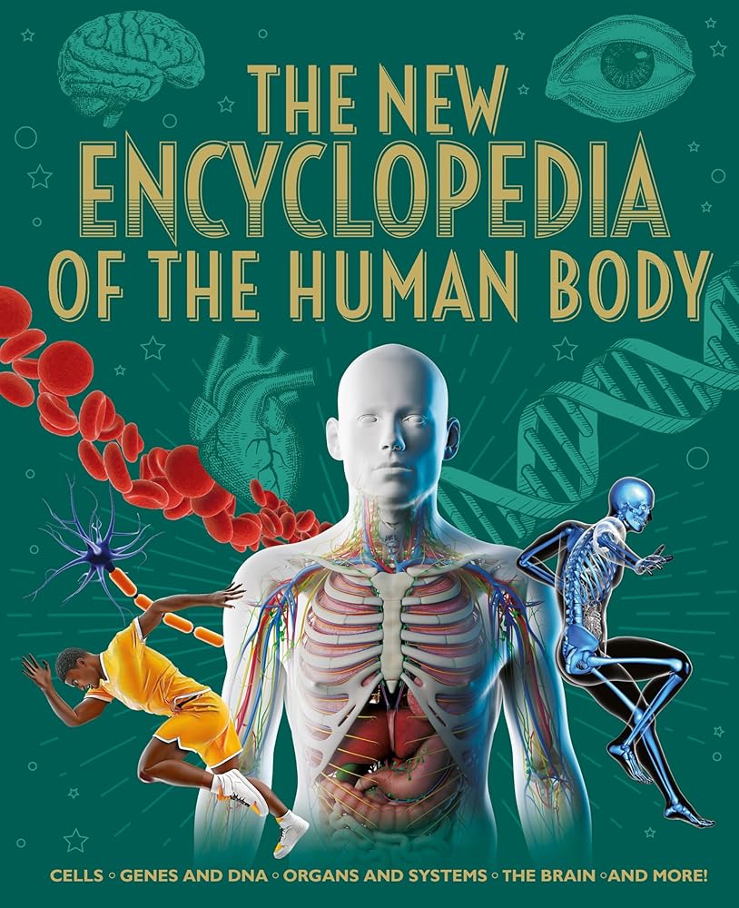 The New Encyclopedia of the Human Body: Cells, Genes and DNA, Organs and Systems, the Brain, and More! (Arcturus New Encyclopedias) cover image