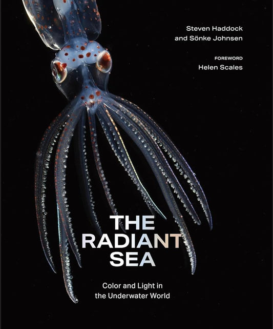 The Radiant Sea: Color and Light In the Underwater World cover image