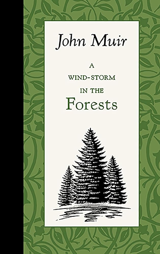 A Wind-Storm in the Forests (American Roots) cover image