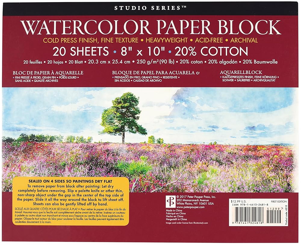 Studio Series Watercolor Block - 8 x 10 inches (250 GSM, 90LB, COLD PRESS) cover image