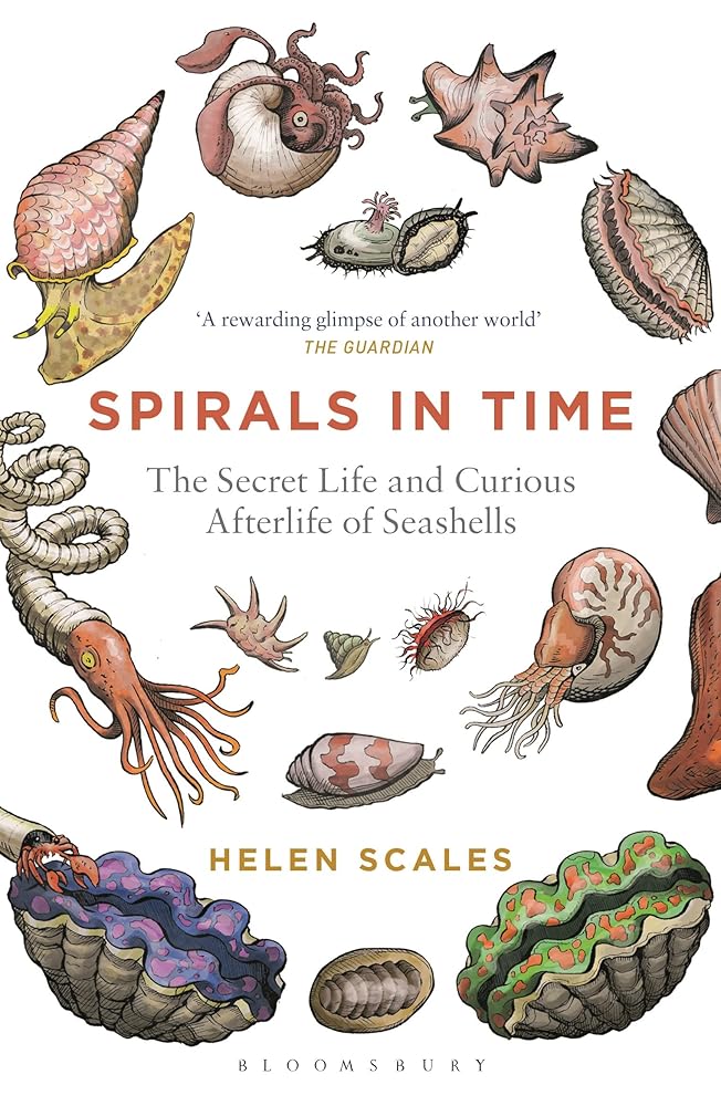 Spirals in Time: The Secret Life and Curious Afterlife of Seashells cover image