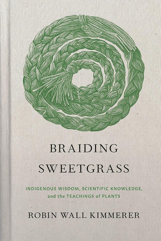 Braiding Sweetgrass: Indigenous Wisdom, Scientific Knowledge and the Teachings of Plants cover image
