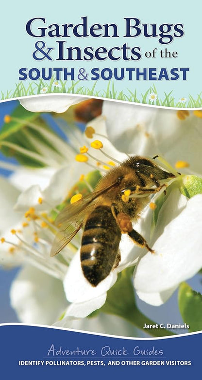 Garden Bugs & Insects of the South & Southeast: Identify Pollinators, Pests, and Other Garden Visitors cover image