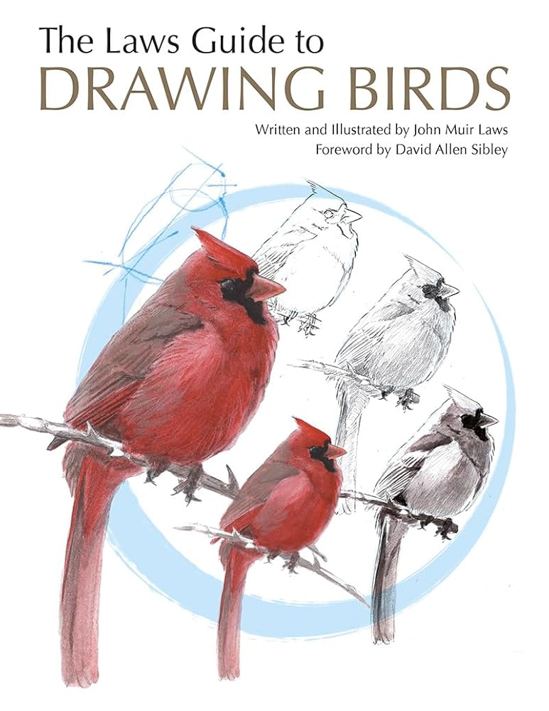 The Laws Guide to Drawing Birds cover image