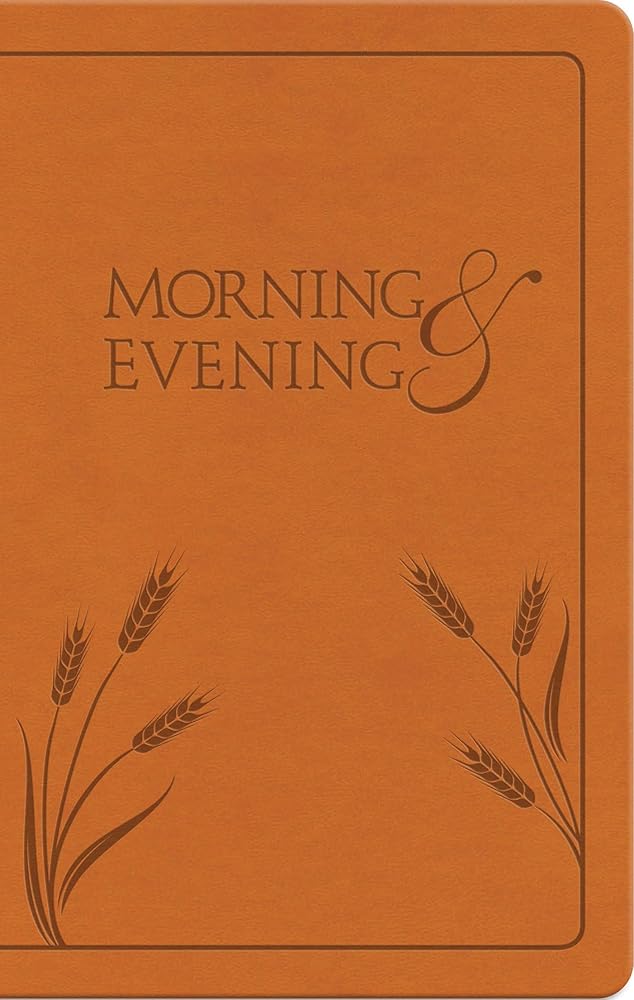 Morning and Evening: New International Version cover image