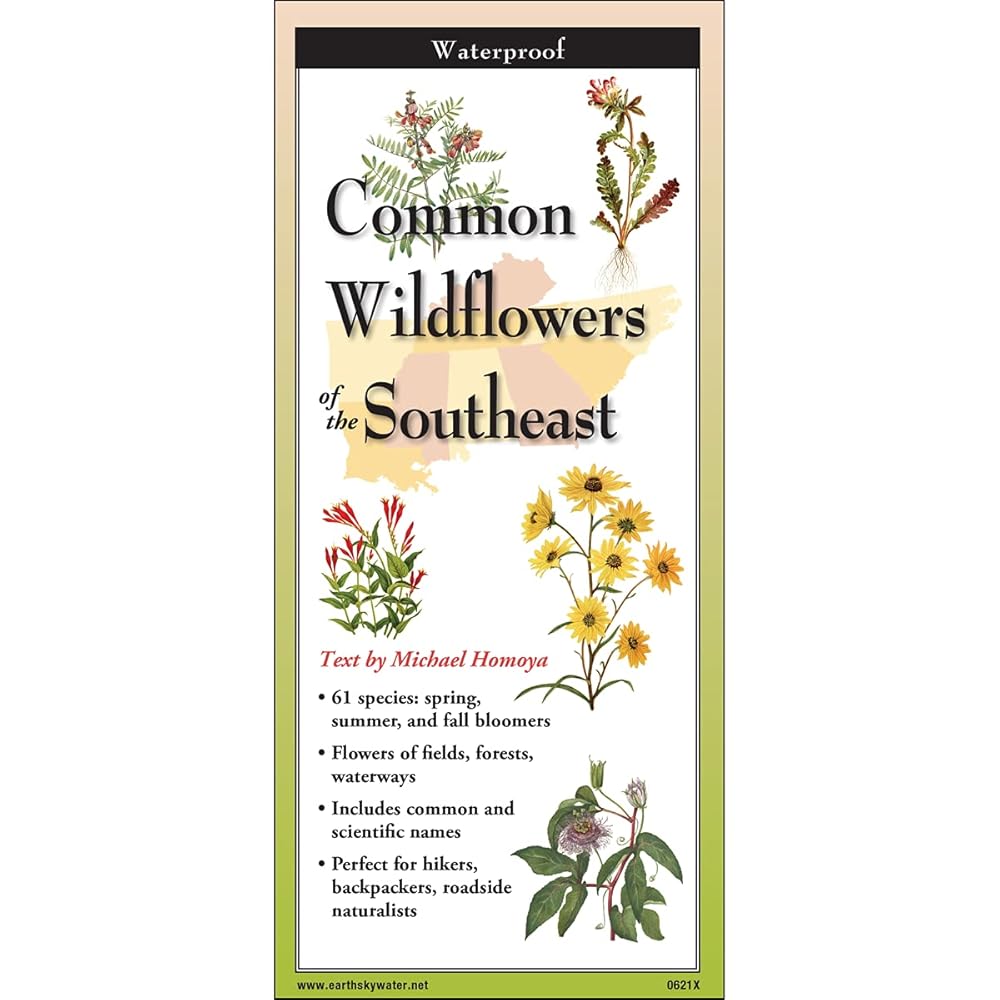 Common Wildflowers of the Southeast cover image