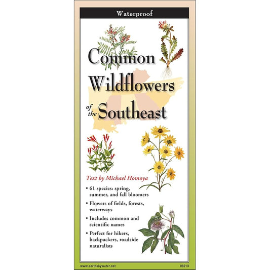 Common Wildflowers of the Southeast cover image