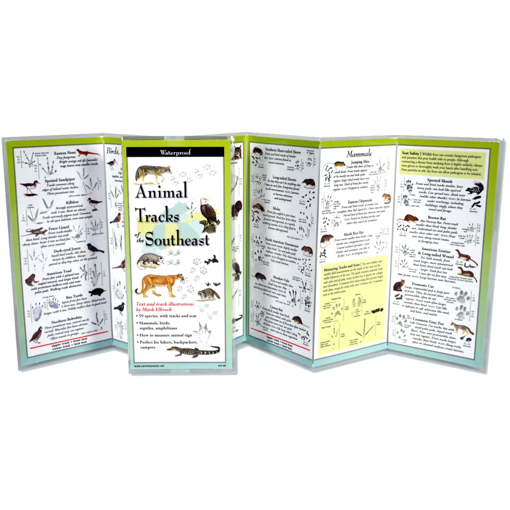 Animal Tracks of the Southeast (Foldingguides(tm)) cover image