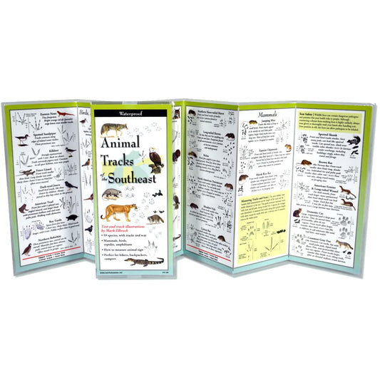 Animal Tracks of the Southeast (Foldingguides(tm)) cover image