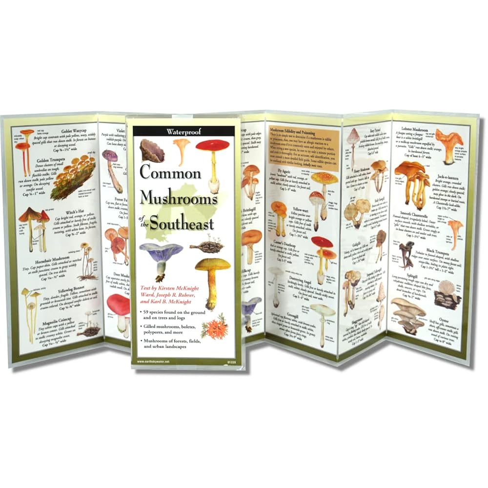 Common Mushrooms of the Southeast (Foldingguides(tm)) cover image