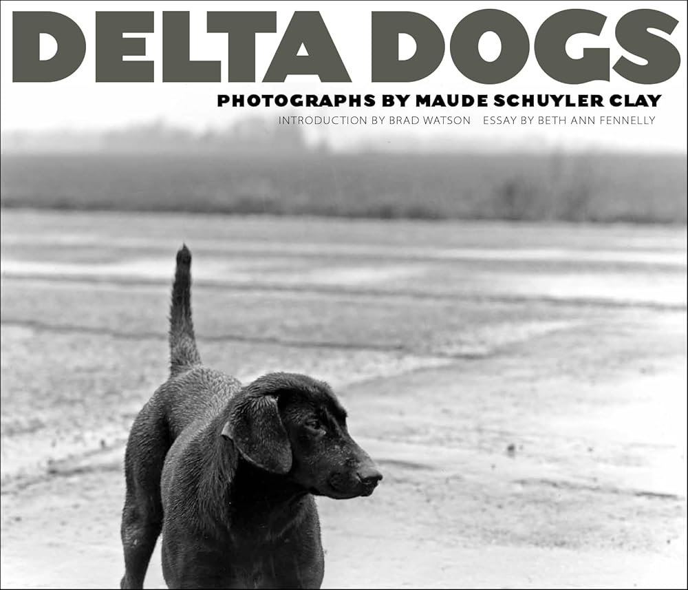 Delta Dogs cover image
