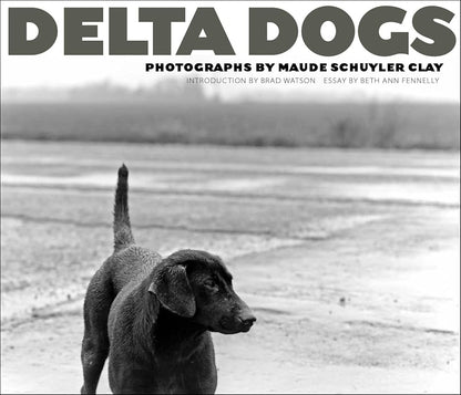 Delta Dogs cover image