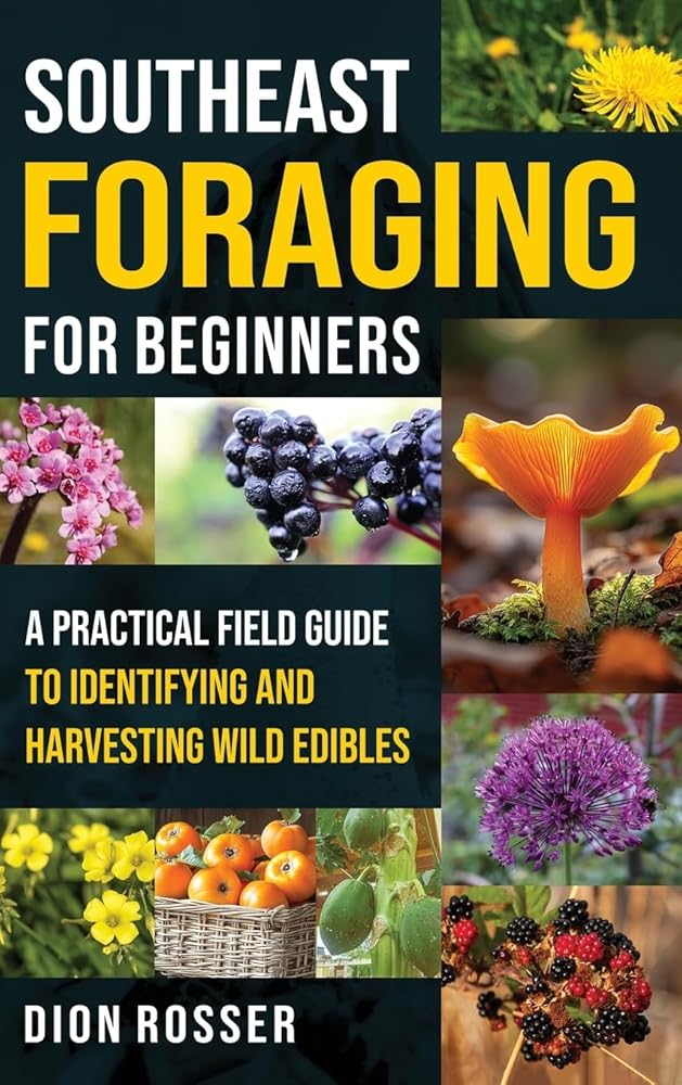 Southeast Foraging for Beginners: A Practical Field Guide to Identifying and Harvesting Wild Edibles cover image