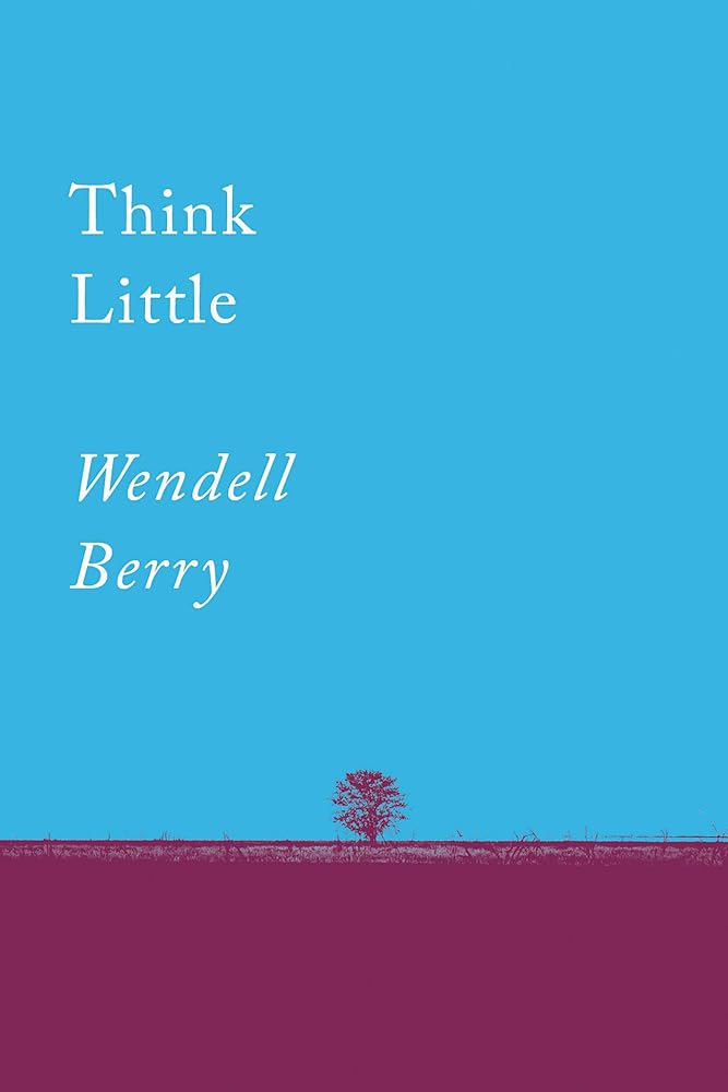 Think Little: Essays (Counterpoints) cover image