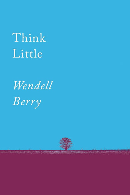 Think Little: Essays (Counterpoints) cover image