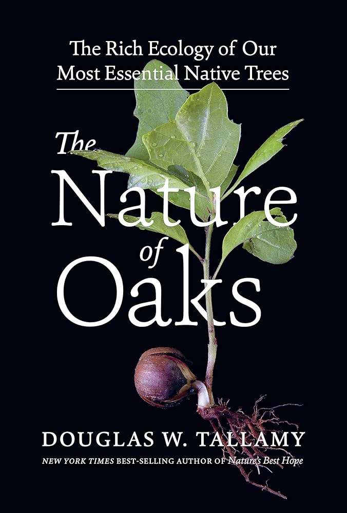 The Nature of Oaks: The Rich Ecology of Our Most Essential Native Trees cover image