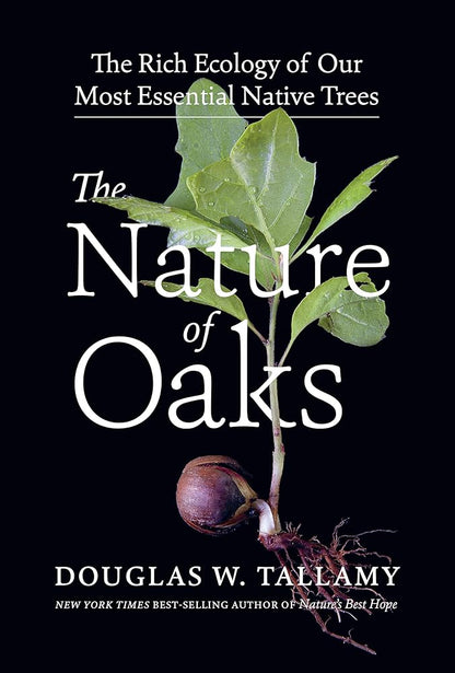 The Nature of Oaks: The Rich Ecology of Our Most Essential Native Trees cover image