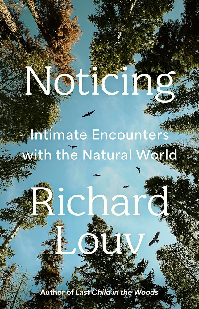 Noticing: Intimate Encounters With the Natural World cover image