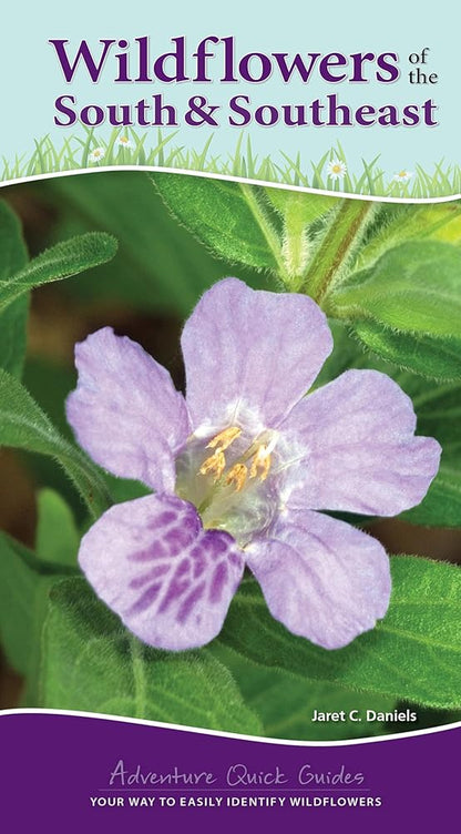 Wildflowers of the South & Southeast: Your Way to Easily Identify Wildflowers (Adventure Quick Guides) cover image