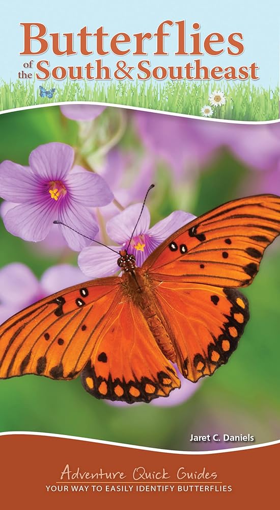 Butterflies of the South & Southeast: Your Way to Easily Identify Butterflies (Adventure Quick Guides) cover image