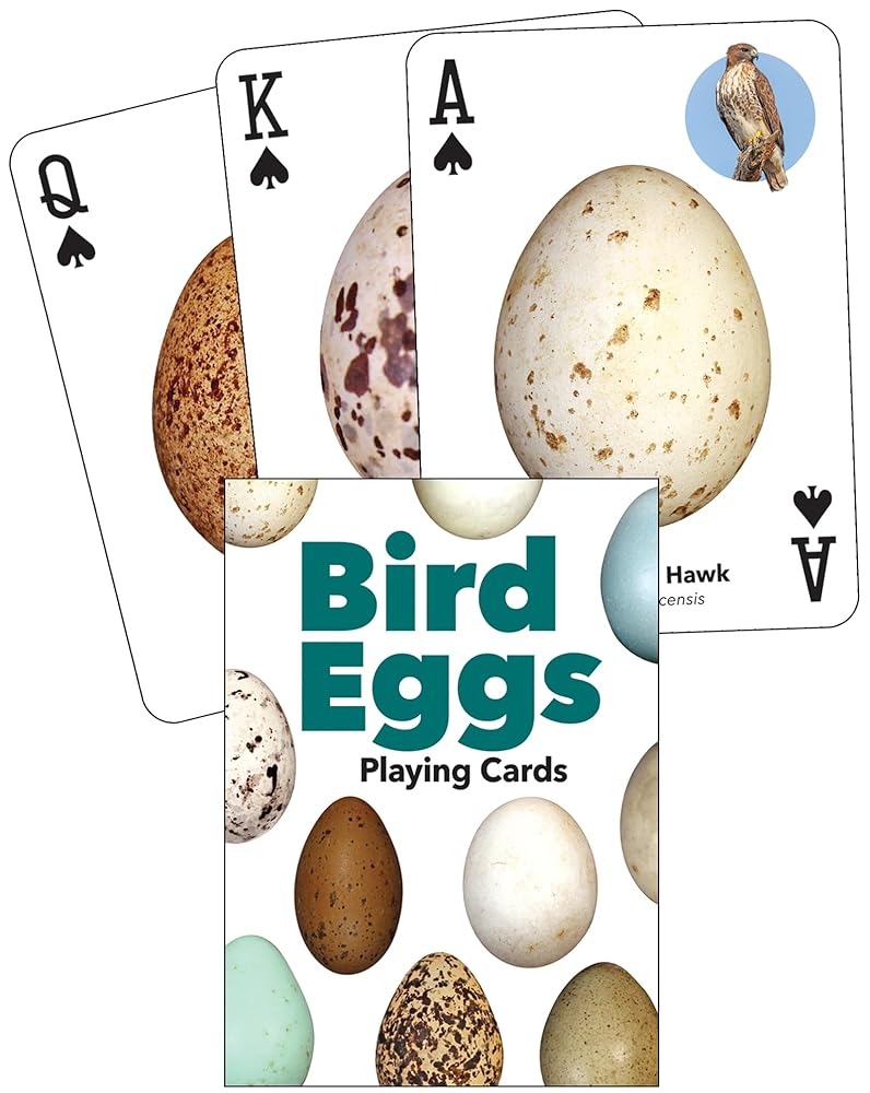 Bird Eggs Playing Cards (Nature's Wild Cards) cover image