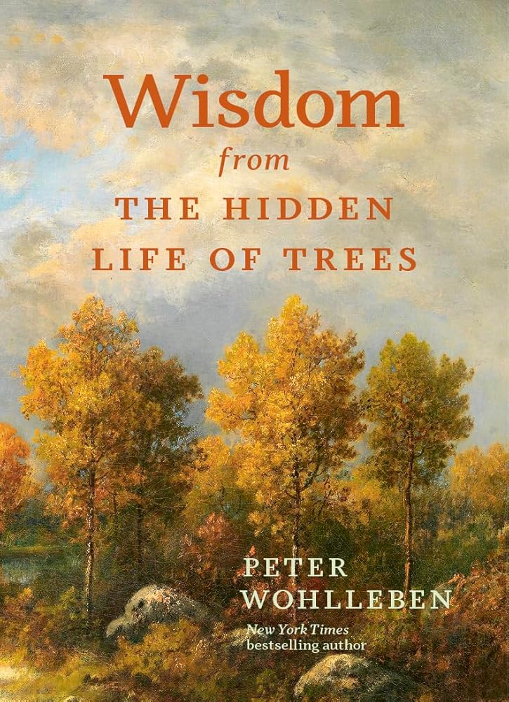 Wisdom From The Hidden Life of Trees (Inspired by the International Bestseller) cover image
