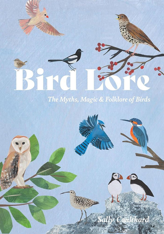 Bird Lore: The Myths, Folklore and Meaning of Birds cover image
