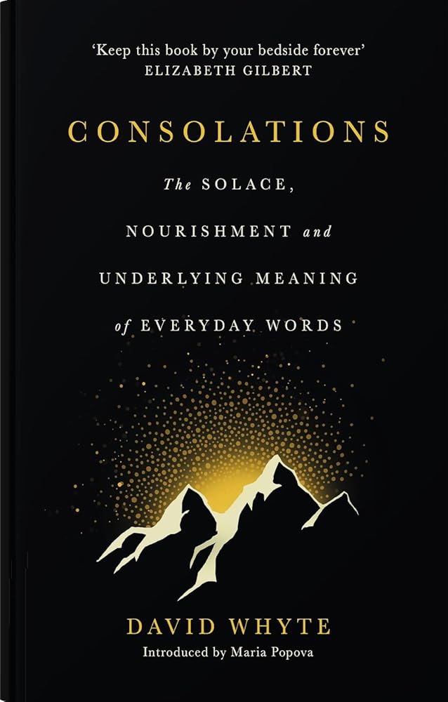 Consolations: The Solace, Nourishment and Underlying Meaning of Everyday Words cover image